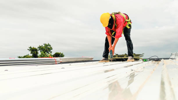 Best Skylight Installation and Repair  in Camilla, GA