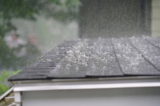 Best Chimney Flashing Repair  in Camilla, GA