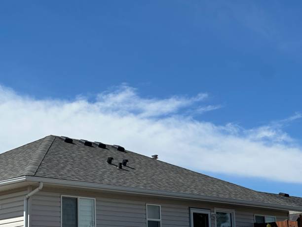 Best Solar Panel Roofing Installation  in Camilla, GA